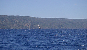 Street Scene in Santiago de Cuba