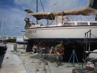 Painting the Sirius II